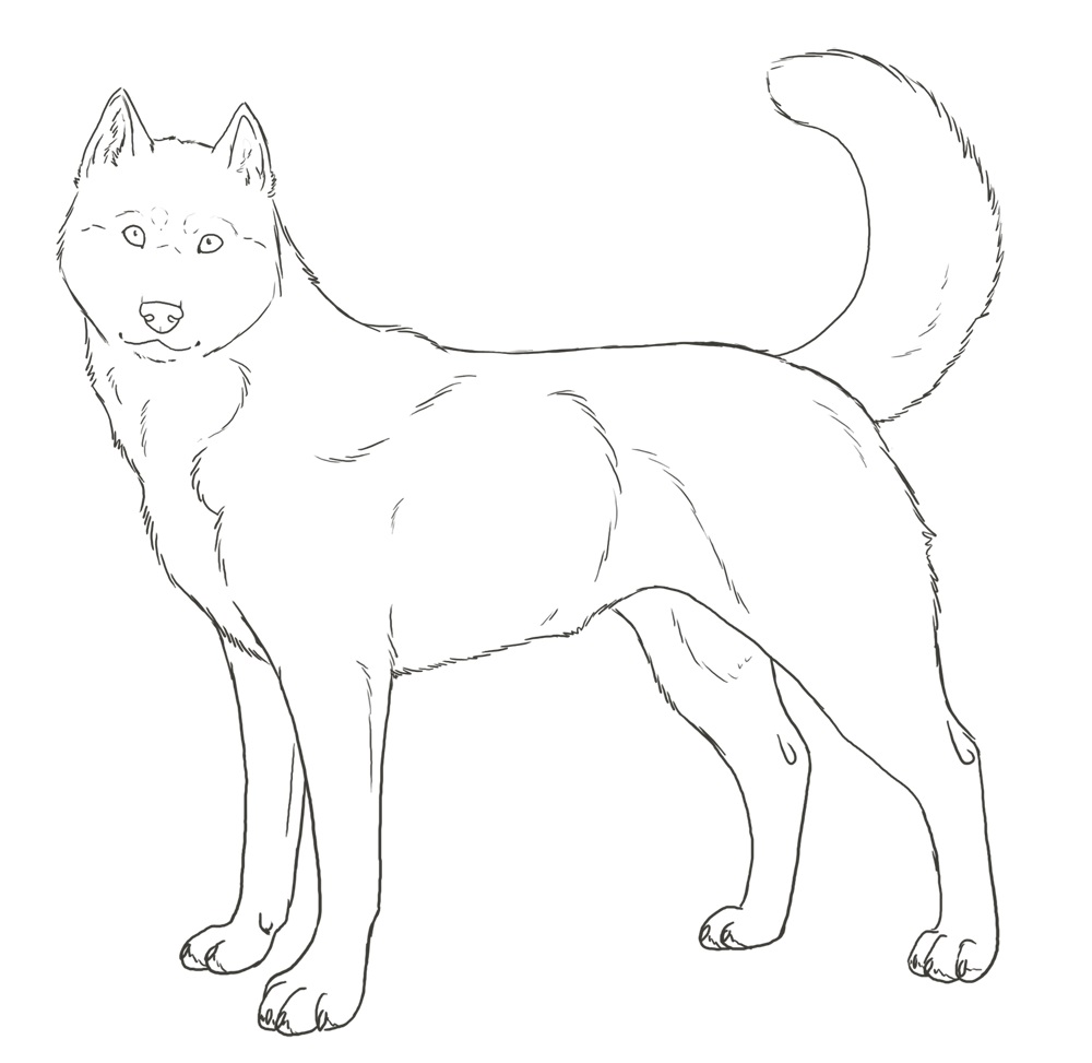 Husky Coloring Pages Best Coloring Pages For Kids