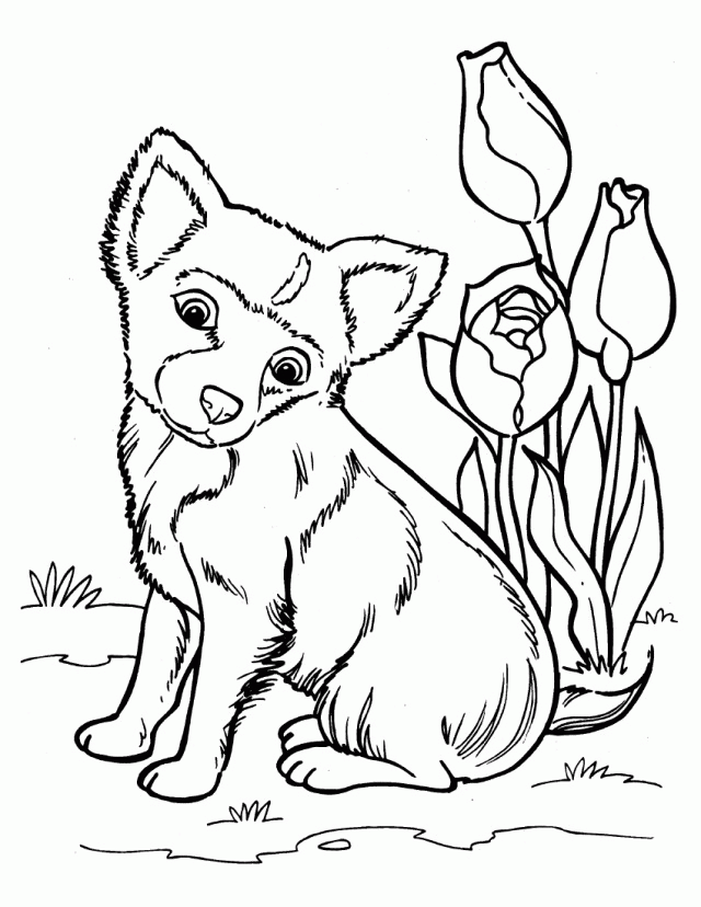 Husky Puppy Coloring Pages