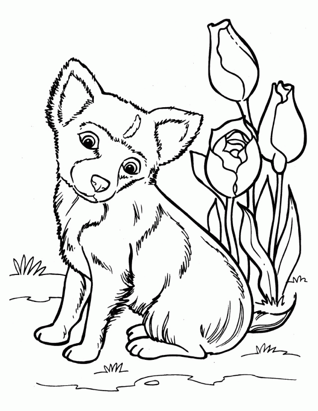 Husky Coloring Pages Best Coloring Pages For Kids