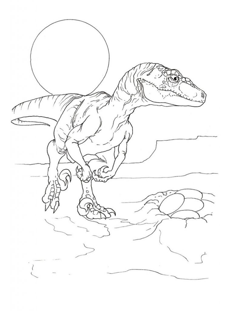 Velociraptor Coloring Page Printable