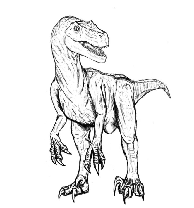 Ausmalbilder Dinosaurier Raptor