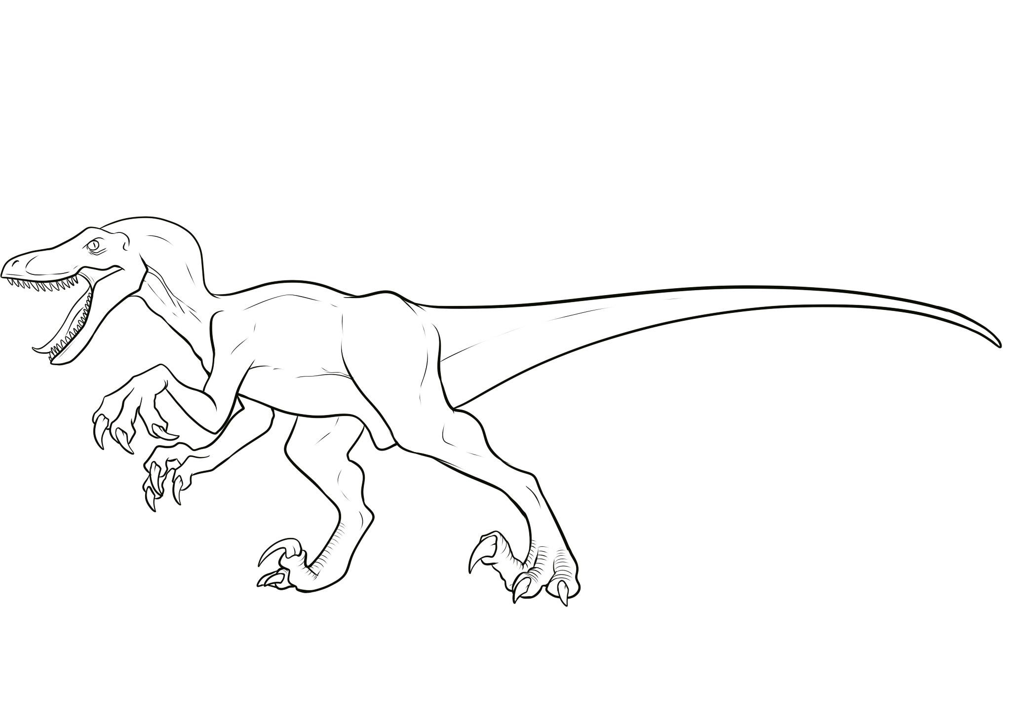 Download Velociraptor Coloring Pages Best Coloring Pages For Kids