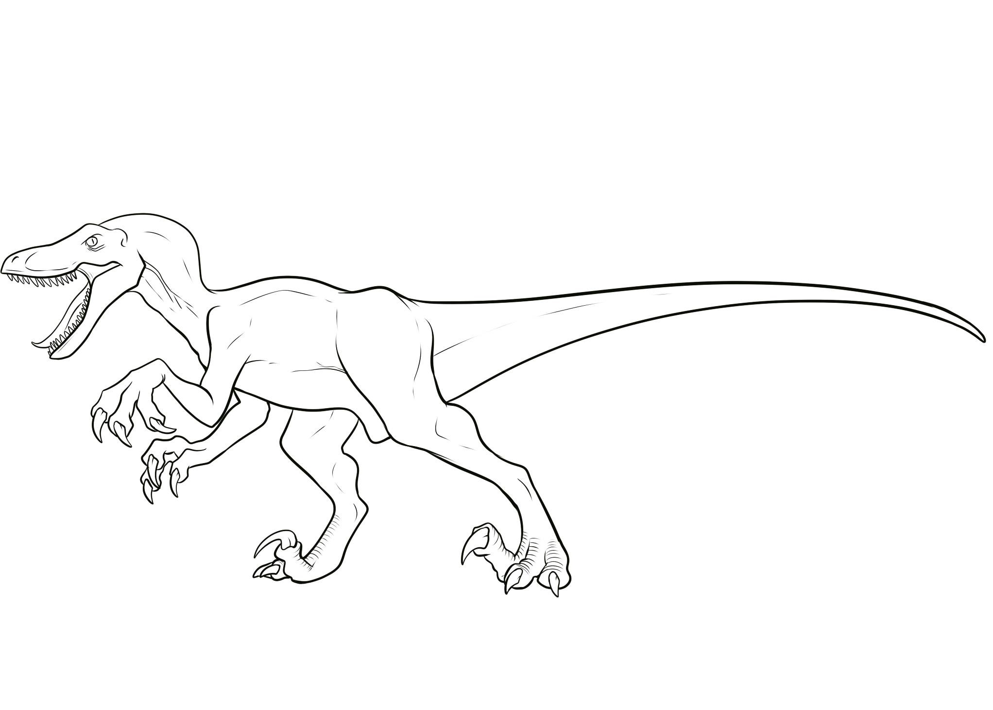 Velociraptor Coloring Pages - Best Coloring Pages For Kids