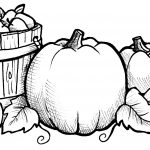 Pretty Fall Harvest Coloring Pages for Adults