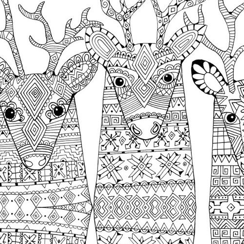 Zendeer - Christmas Coloring Pages for Adults
