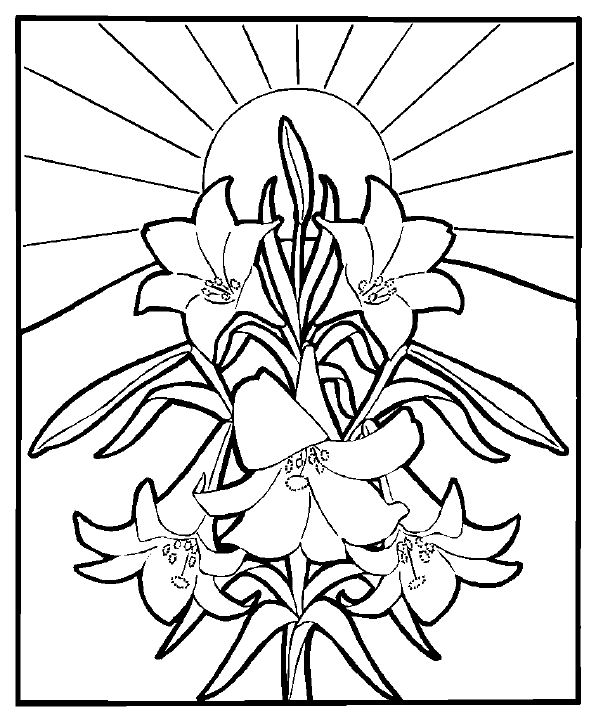 Lillies Religious Easter Coloring Pages