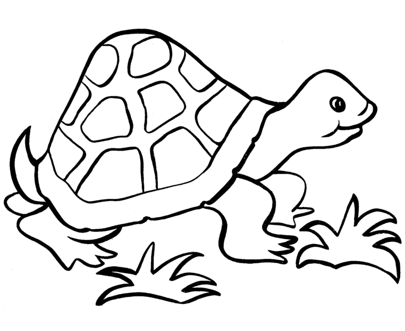 Easy Coloring Pages - Turtle