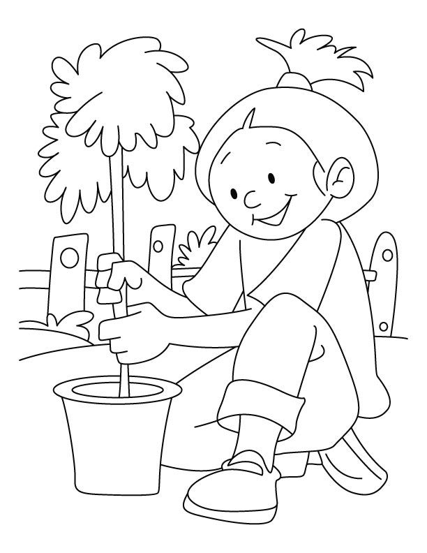 Plant a Tree Coloring Page