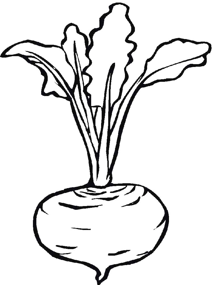 Beet Coloring Page