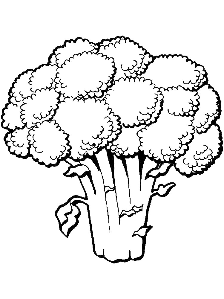 Broccoli Coloring Page
