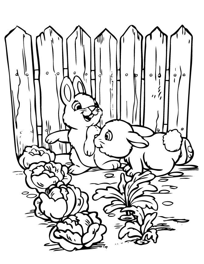 Bunnies in the Garden Coloring Pages