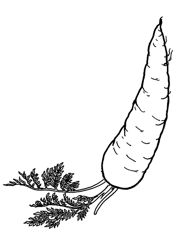 Carrot Coloring Page