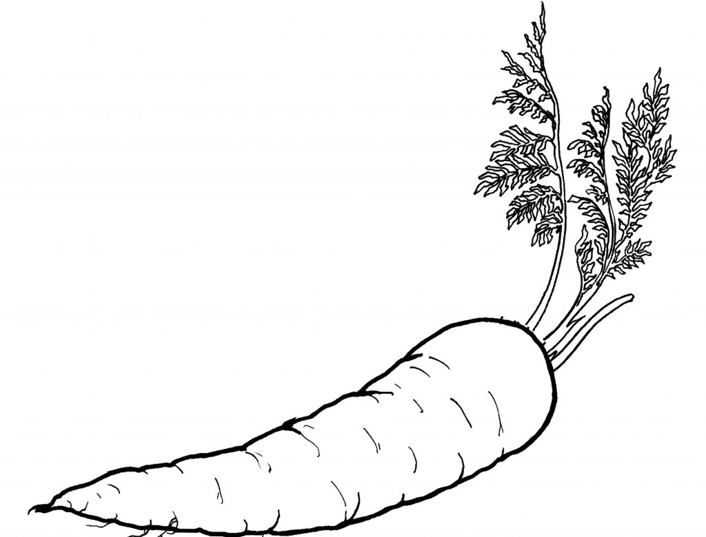 Carrot Vegetable Coloring Pages