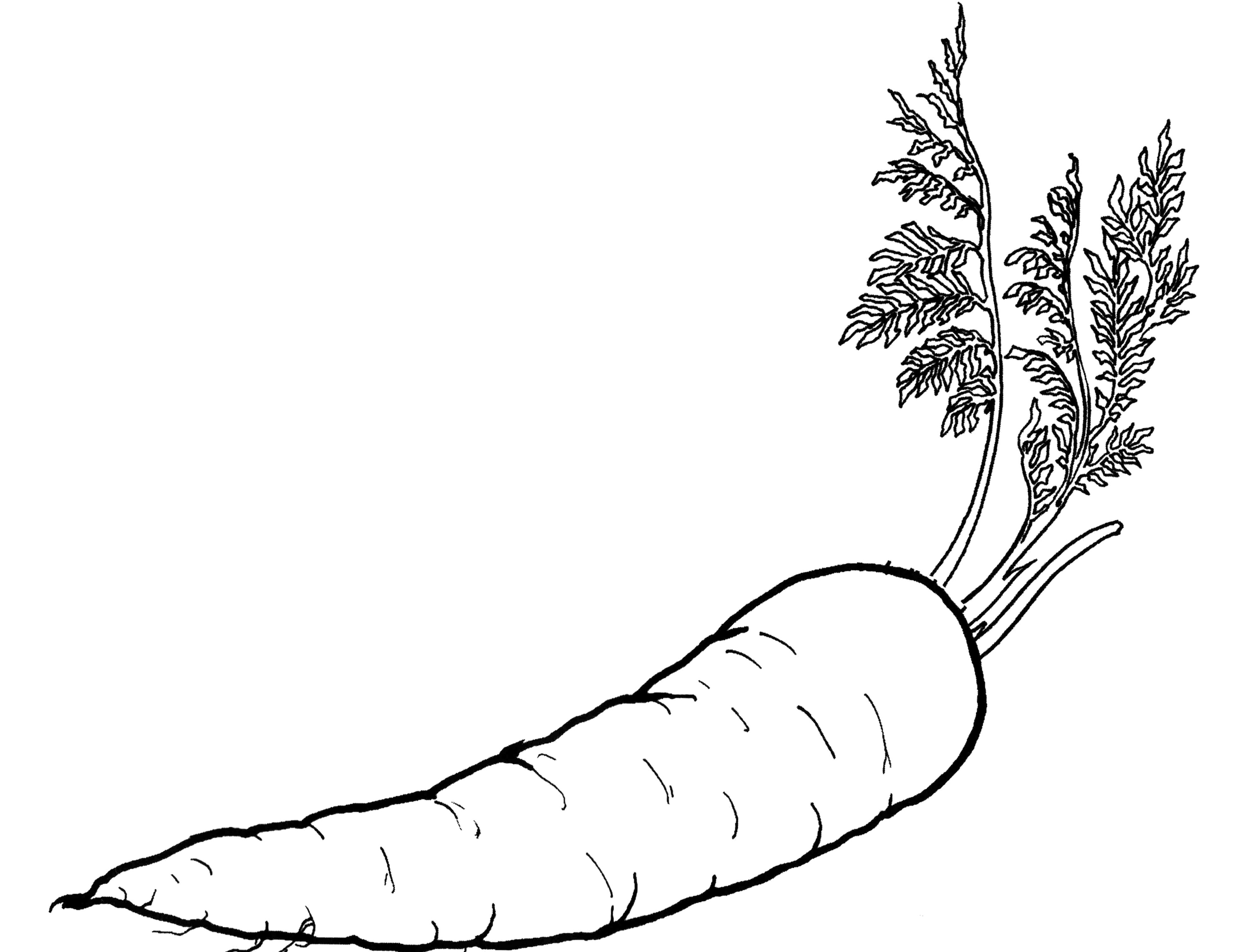 Vegetable Coloring Pages - Best Coloring Pages For Kids