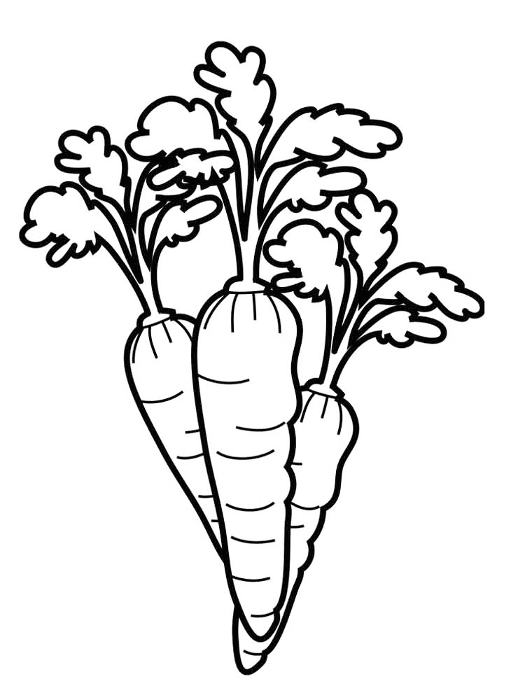 Carrots Coloring Page