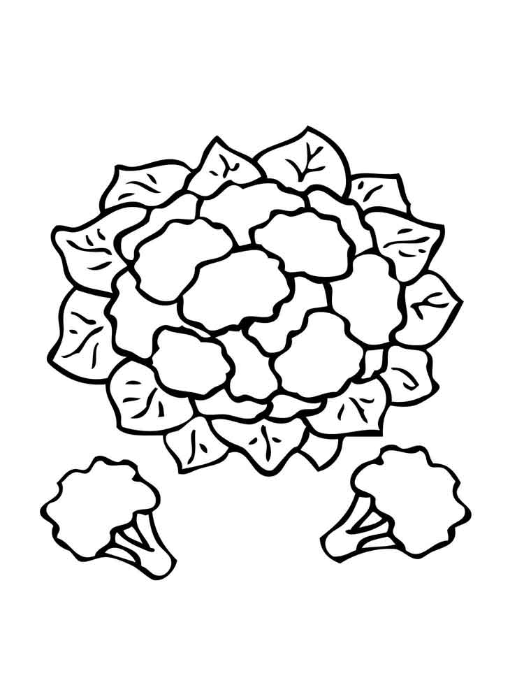 Cauliflower Head Coloring Page