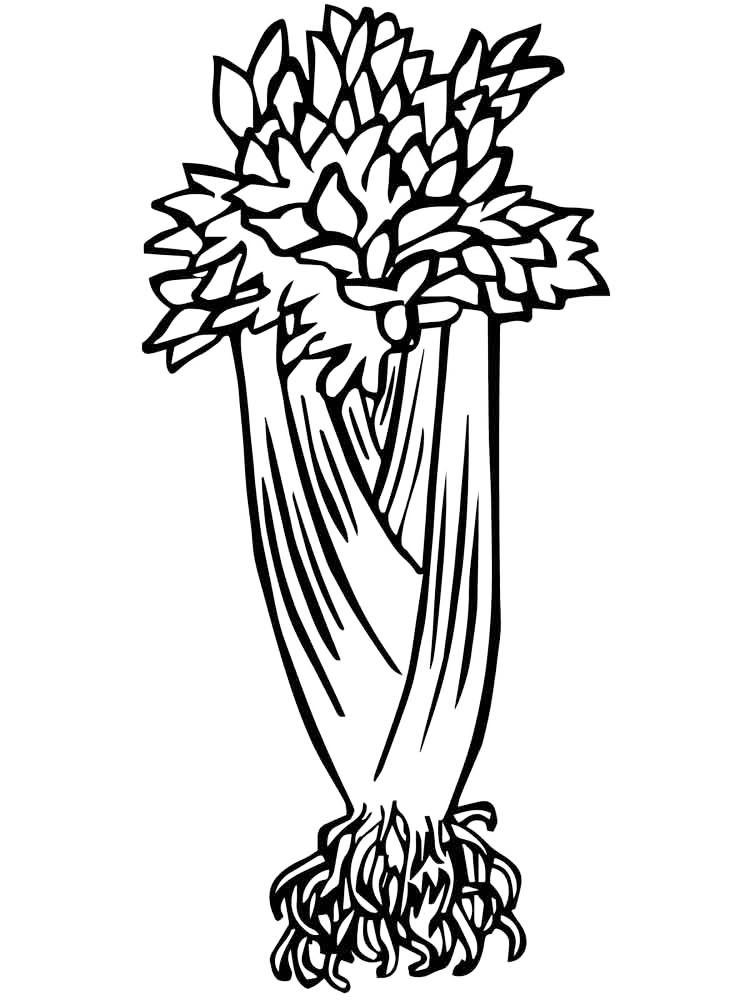 Celery Coloring Page