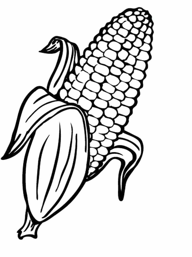 Corn Coloring Page