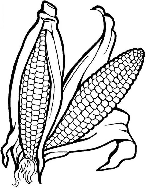 Download Vegetable Coloring Pages - Best Coloring Pages For Kids