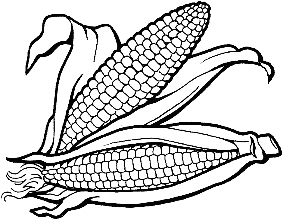 Ears Of Corn Vegetable Coloring Pages
