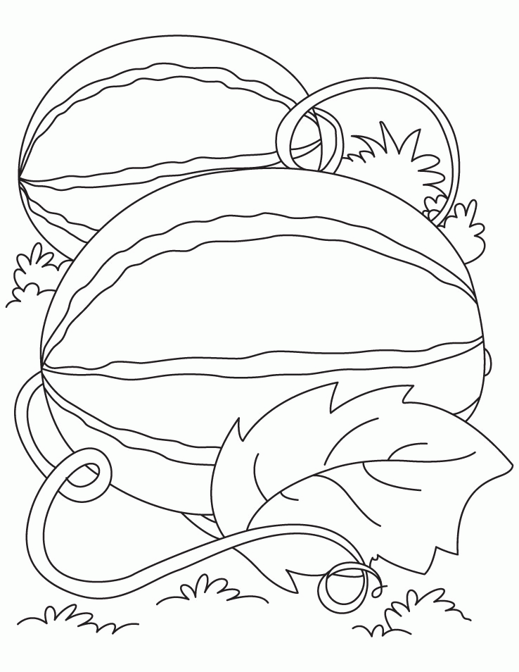 Grow Watermelon Coloring Pages