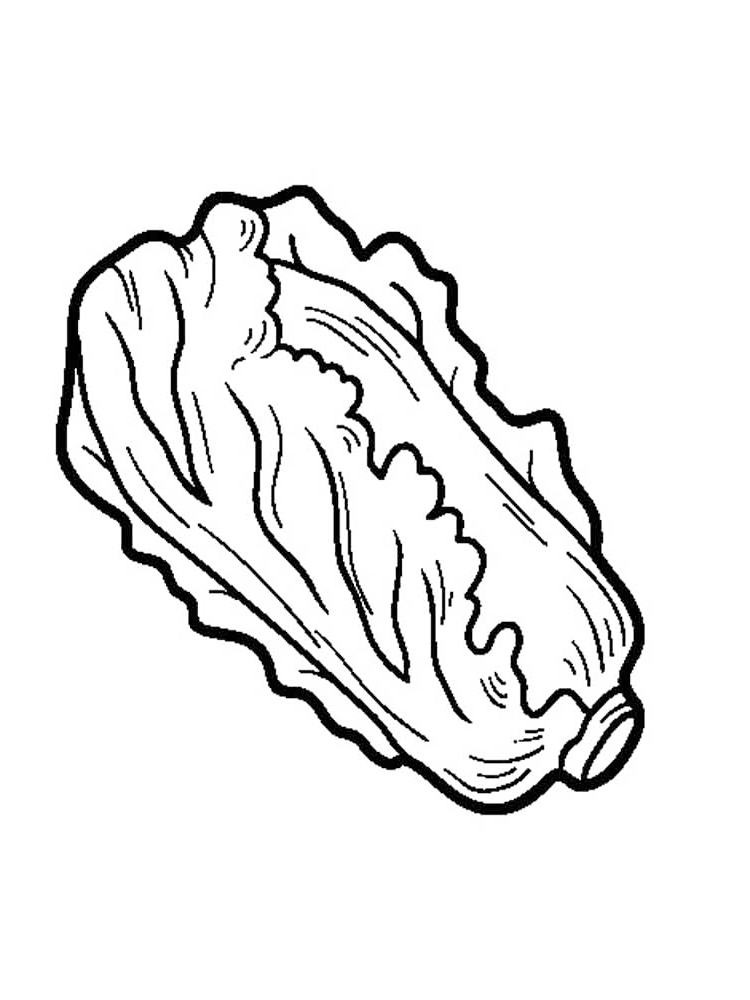 Lettuce Coloring Page