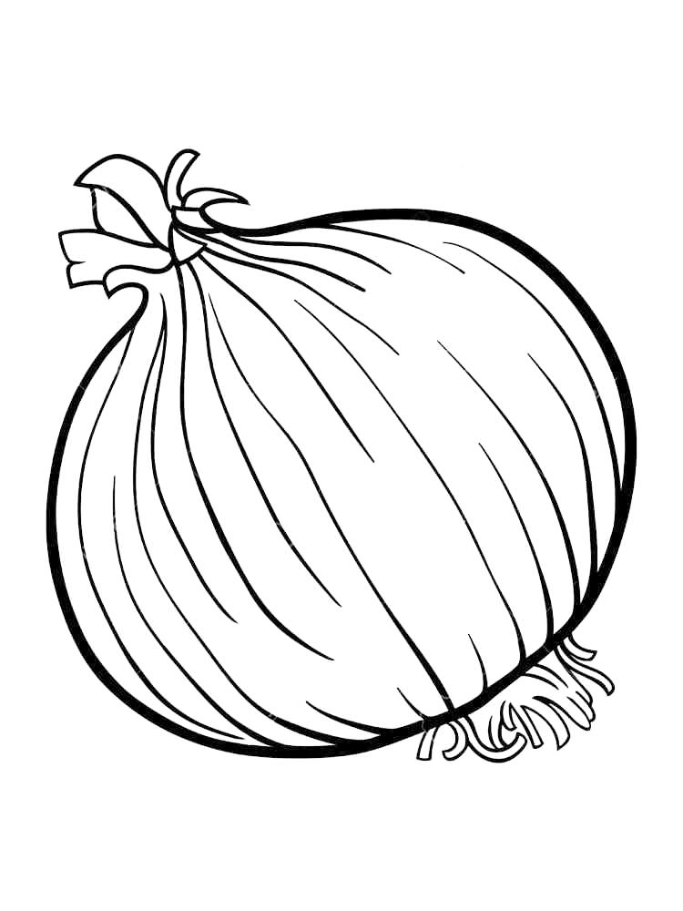 Onion Coloring Page