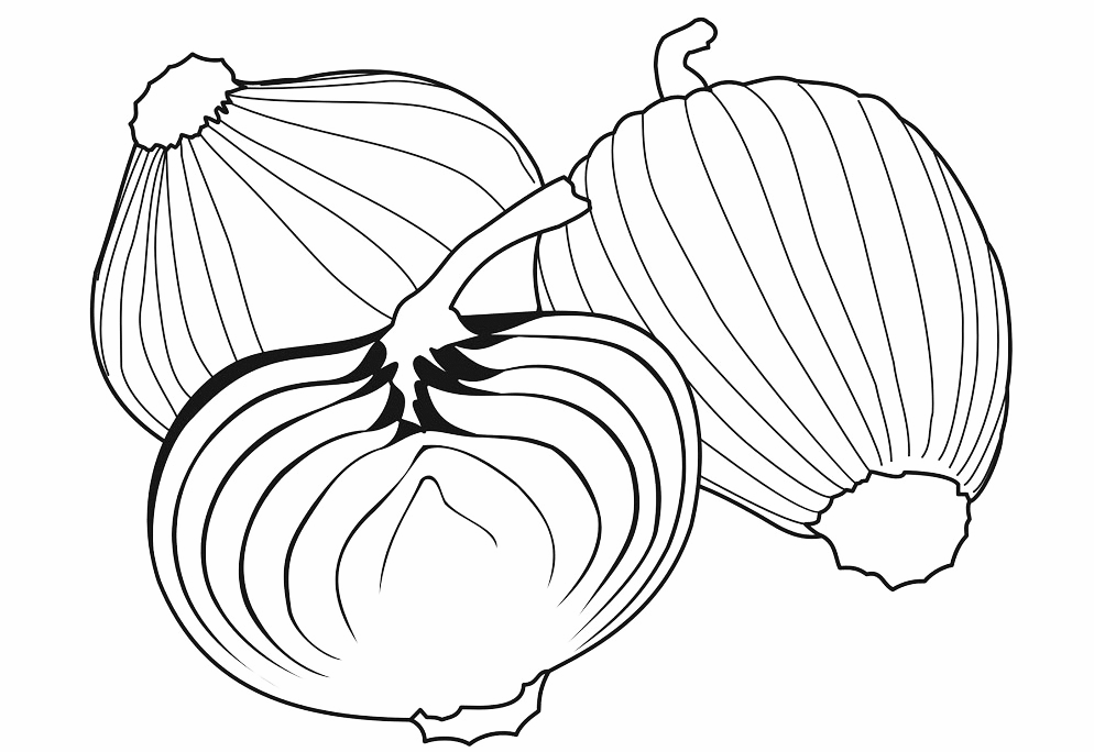 Onions Coloring Page
