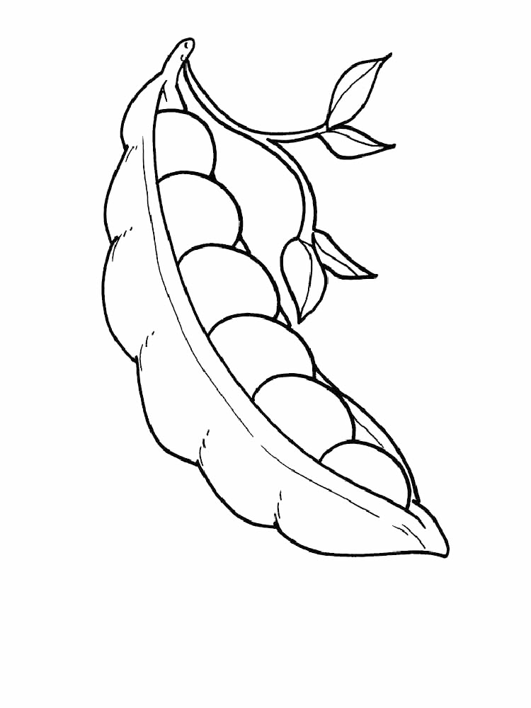 Pea Pod Coloring Page