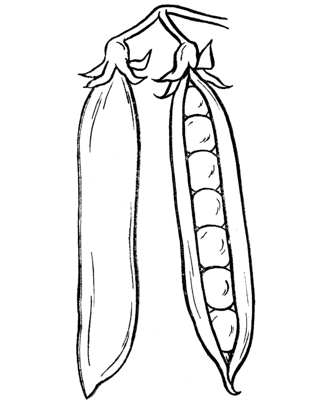 Pea Vegetable Coloring Pages