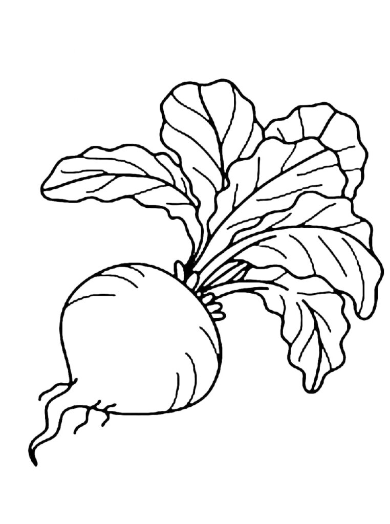 Radish Coloring Page