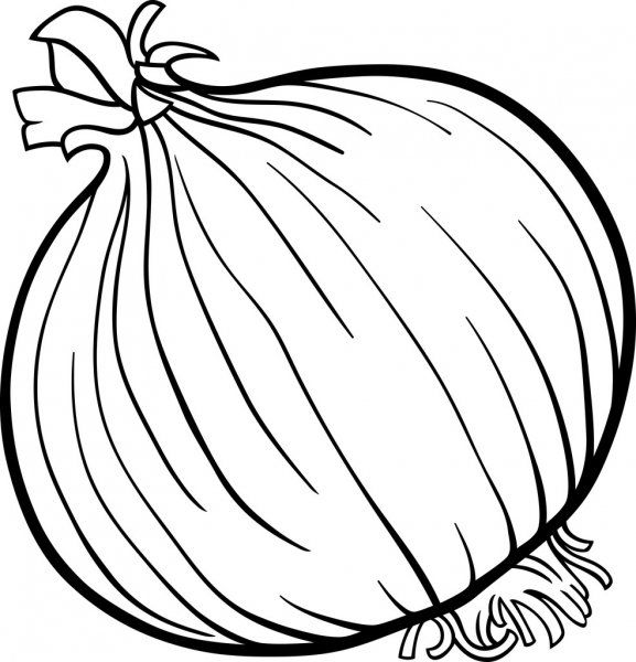 Single Onion Coloring Page