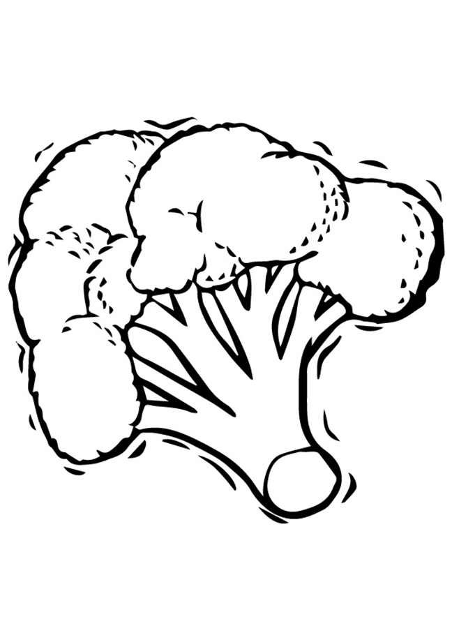 Stalk Of Broccoli Coloring Page