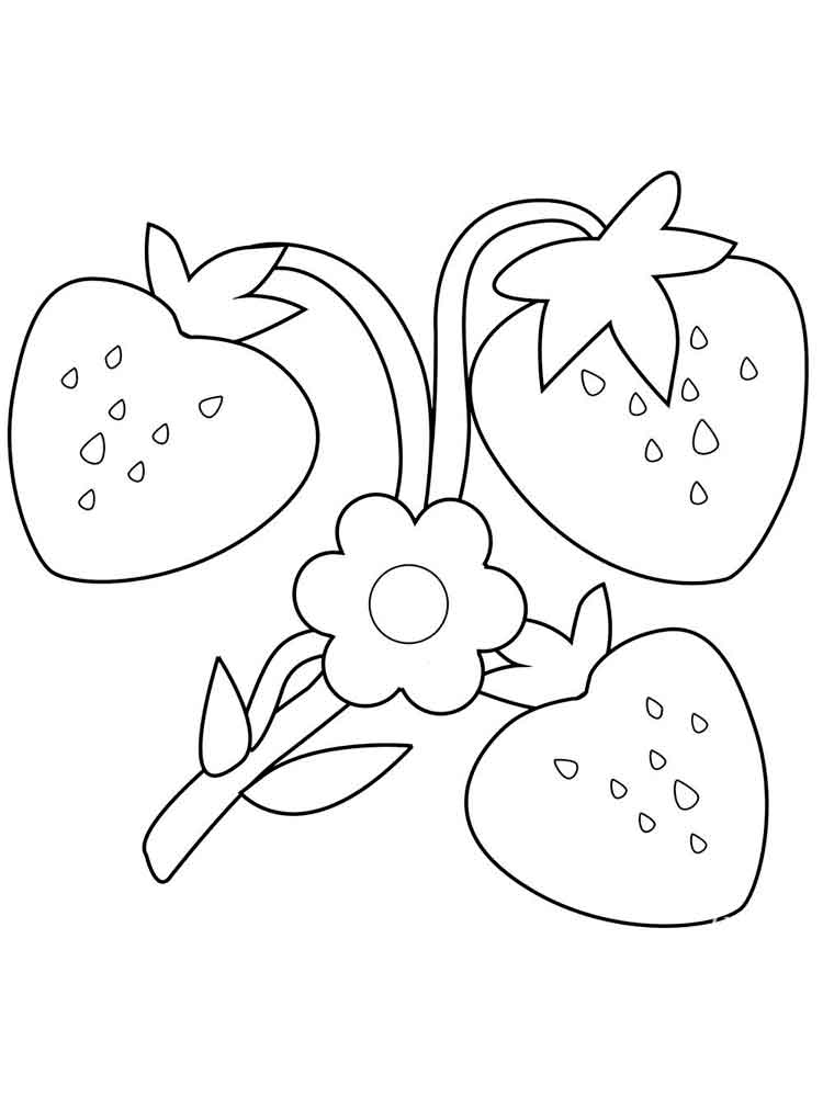 Strawberry Flower Coloring Pages