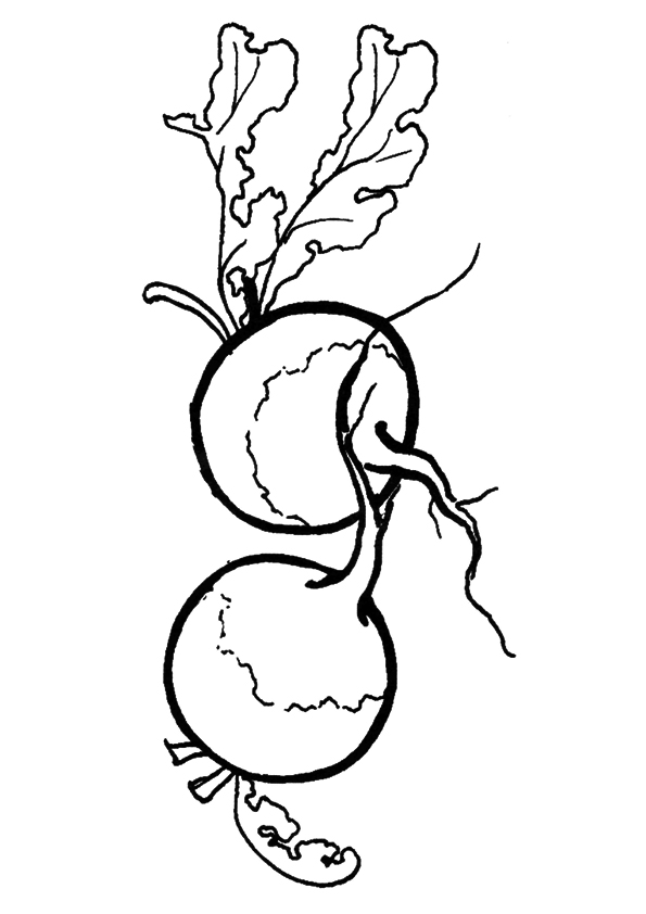 Two Radish Coloring Page