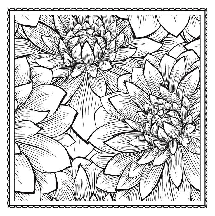 Pattern Coloring Pages - Best Coloring Pages For Kids