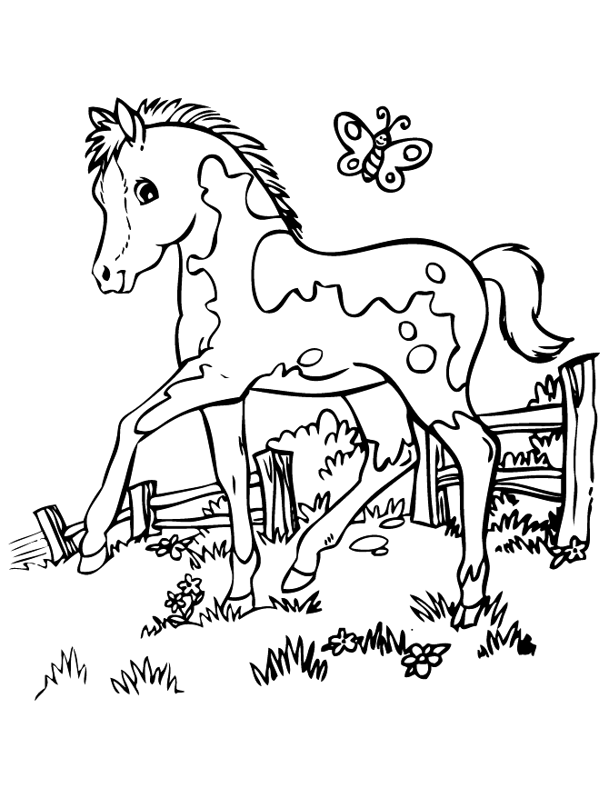 Pony And Butterfly Coloring Page