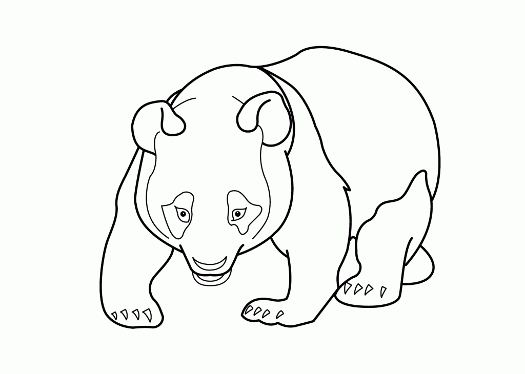 Adult Panda Coloring Pages