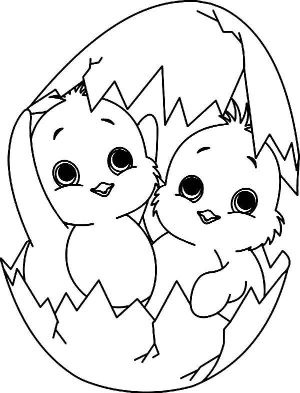 baby chick hatching coloring page