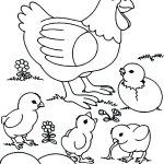 Baby Chicks Coloring Page