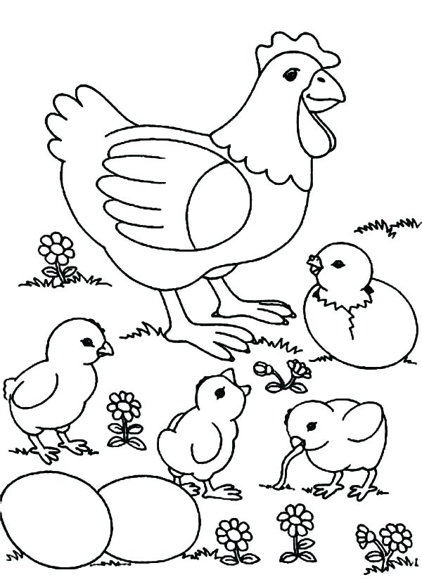 Chicken Coloring Pages - Best Coloring Pages For Kids