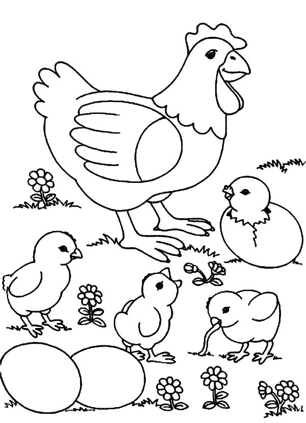 chicken coloring pages for preschoolers