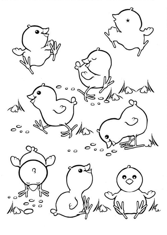 baby chick hatching coloring page