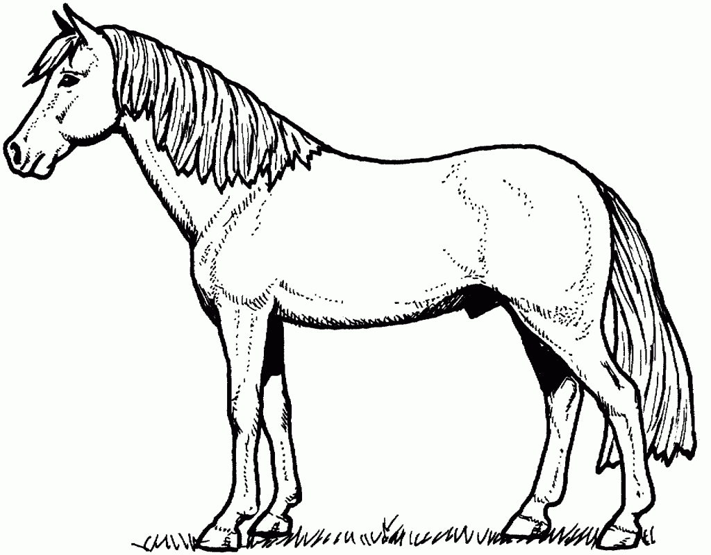 Big Pony Coloring Pages