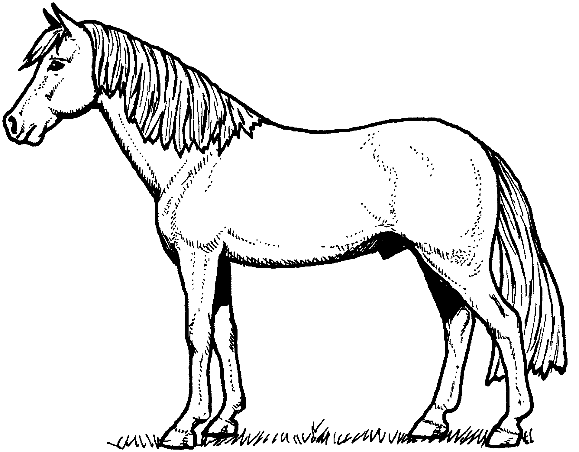 pony-coloring-pages-best-coloring-pages-for-kids