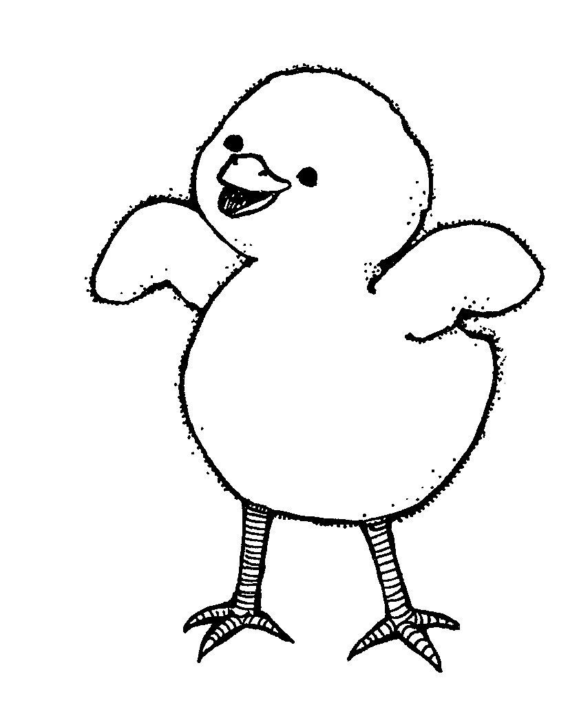 Chick Coloring Page   Best Coloring Pages For Kids