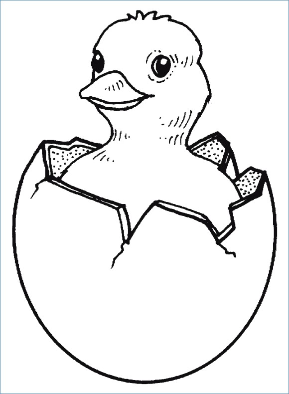 Chick Hatching Coloring Page