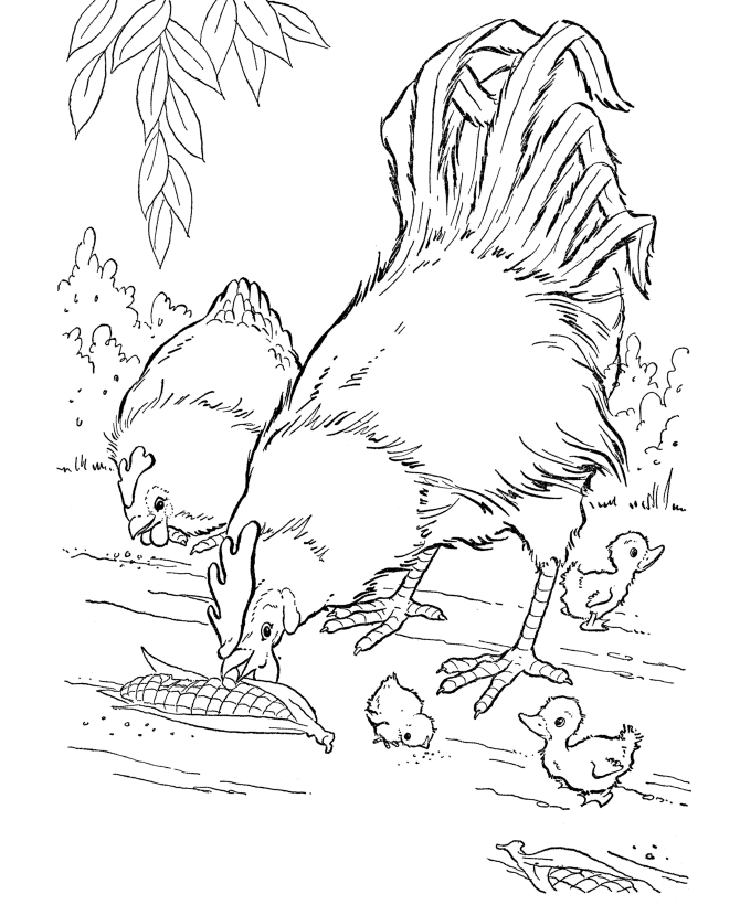 Chicken Coloring Page Printable
