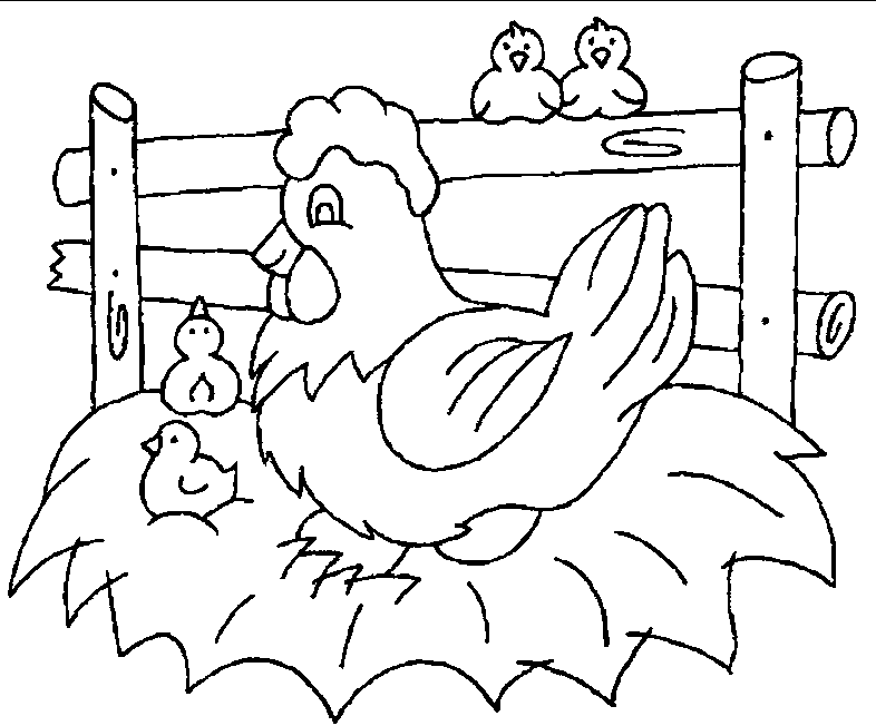 Chicken Coloring Page Printables