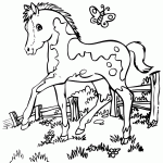 Cute Pony Coloring Page Free